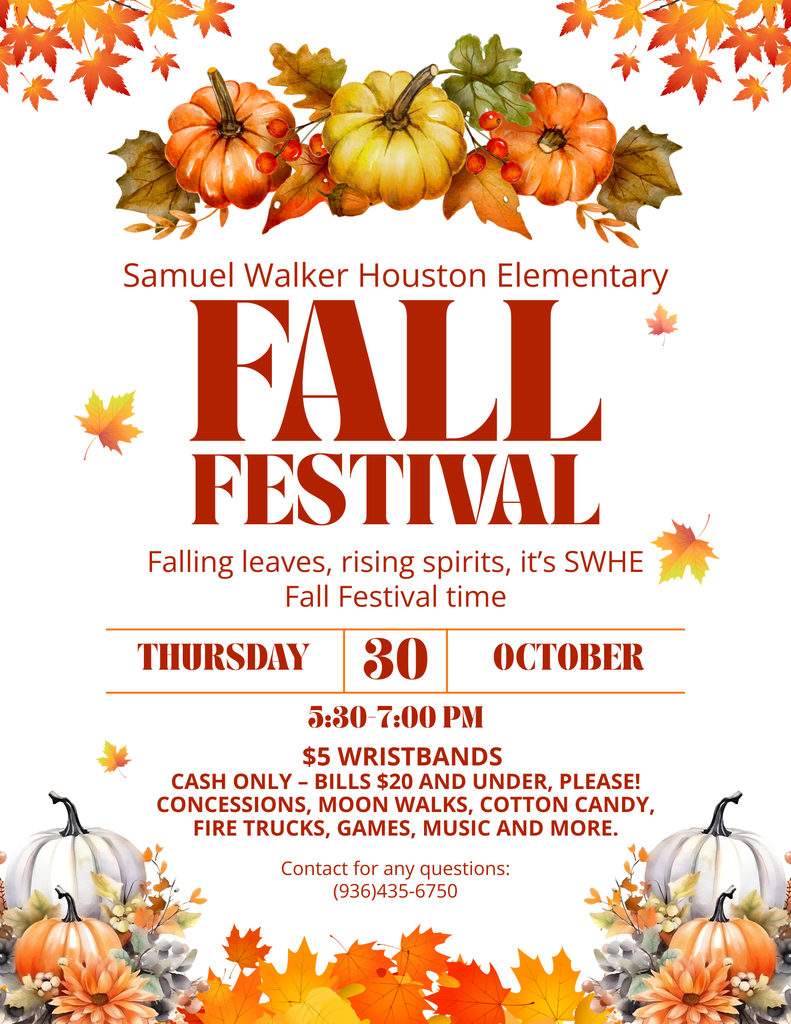Fall Festival Flyer