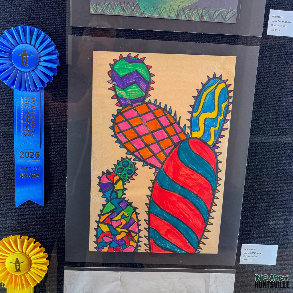 Colorful cactus- best in show