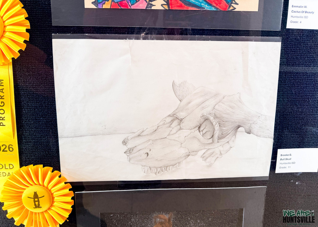 Pencil drawing of a skull- gold medal