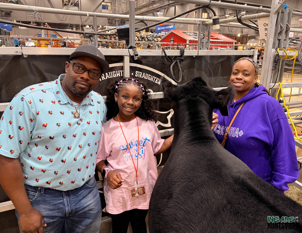 A little girl- elementary student- with her parents and her show cow