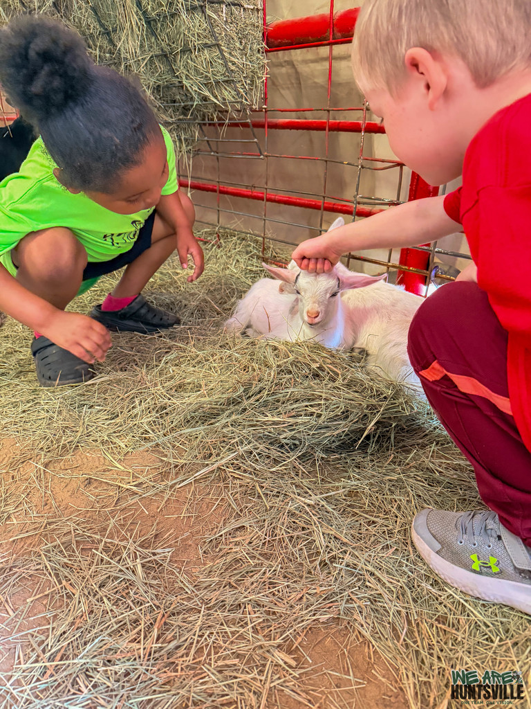 two kinder student petting a goat