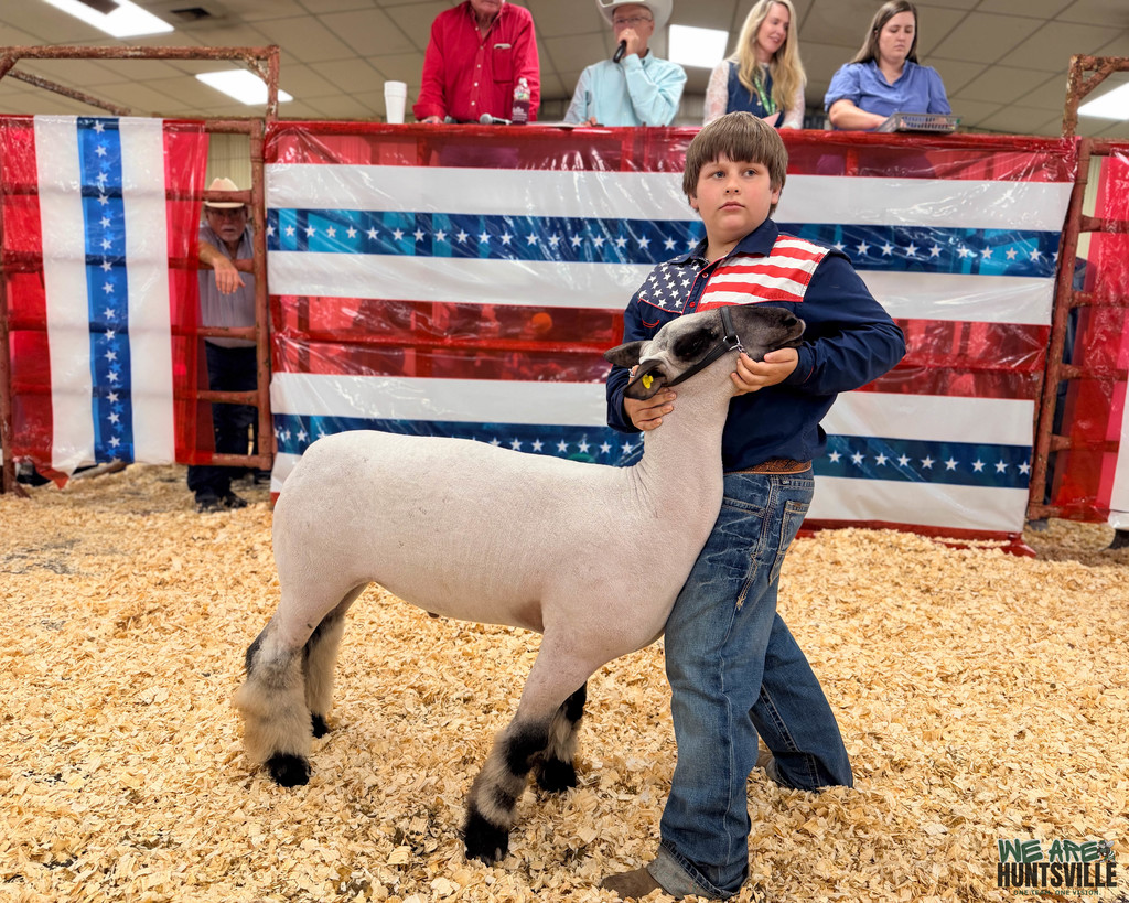 Boy with american flag shirt concentrates