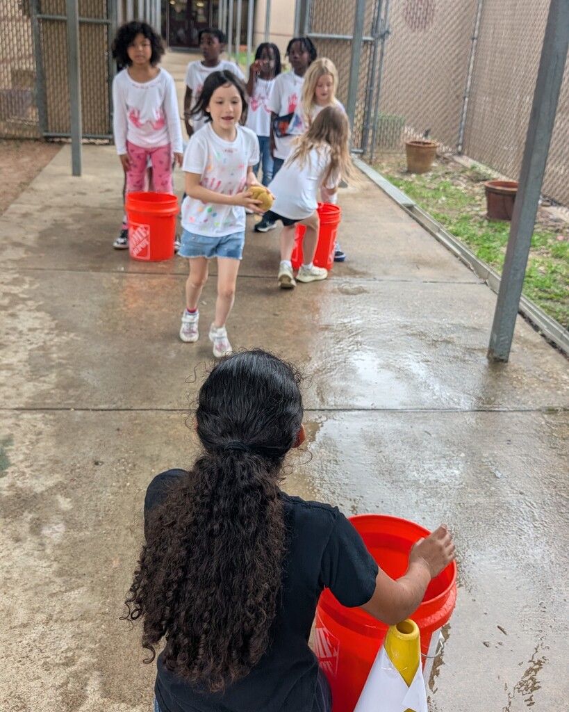 More Field Day Fun