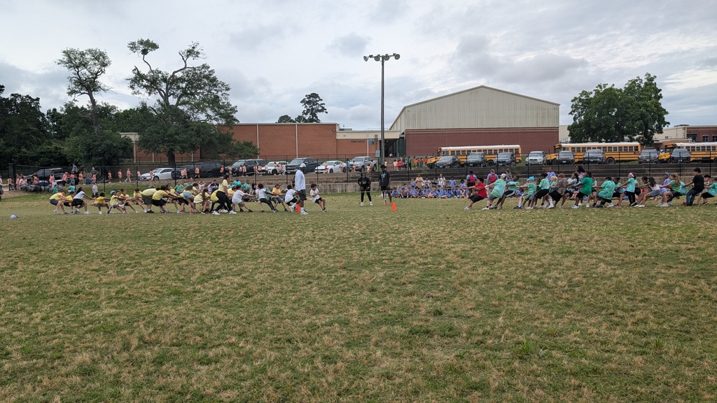 Field Day part 2