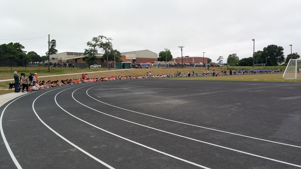 Field Day fun