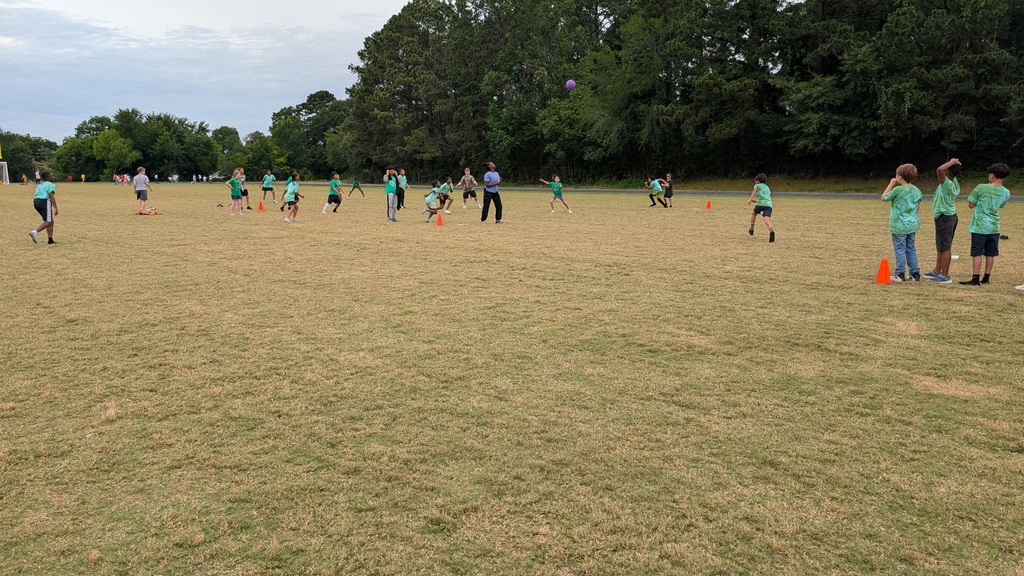 Field Day fun