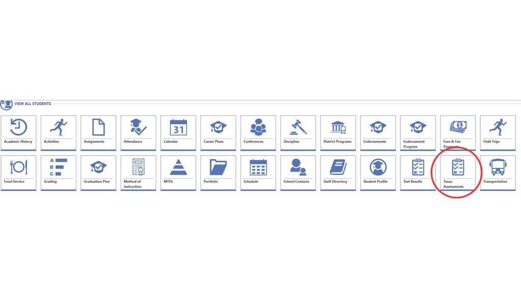 Texas assessment tab