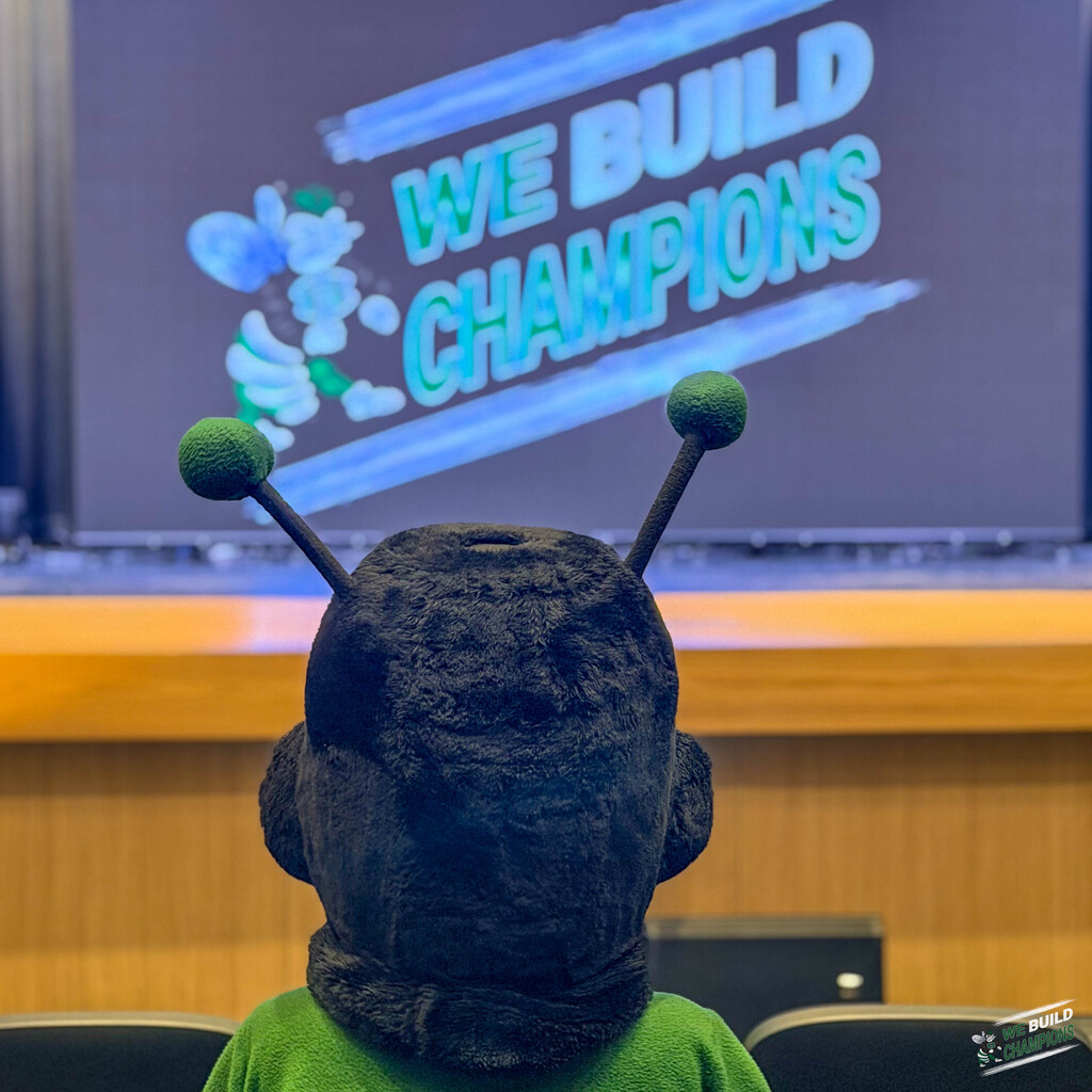 Shot from behind, this is the back of buzzy's head as they gaze to the new video wall