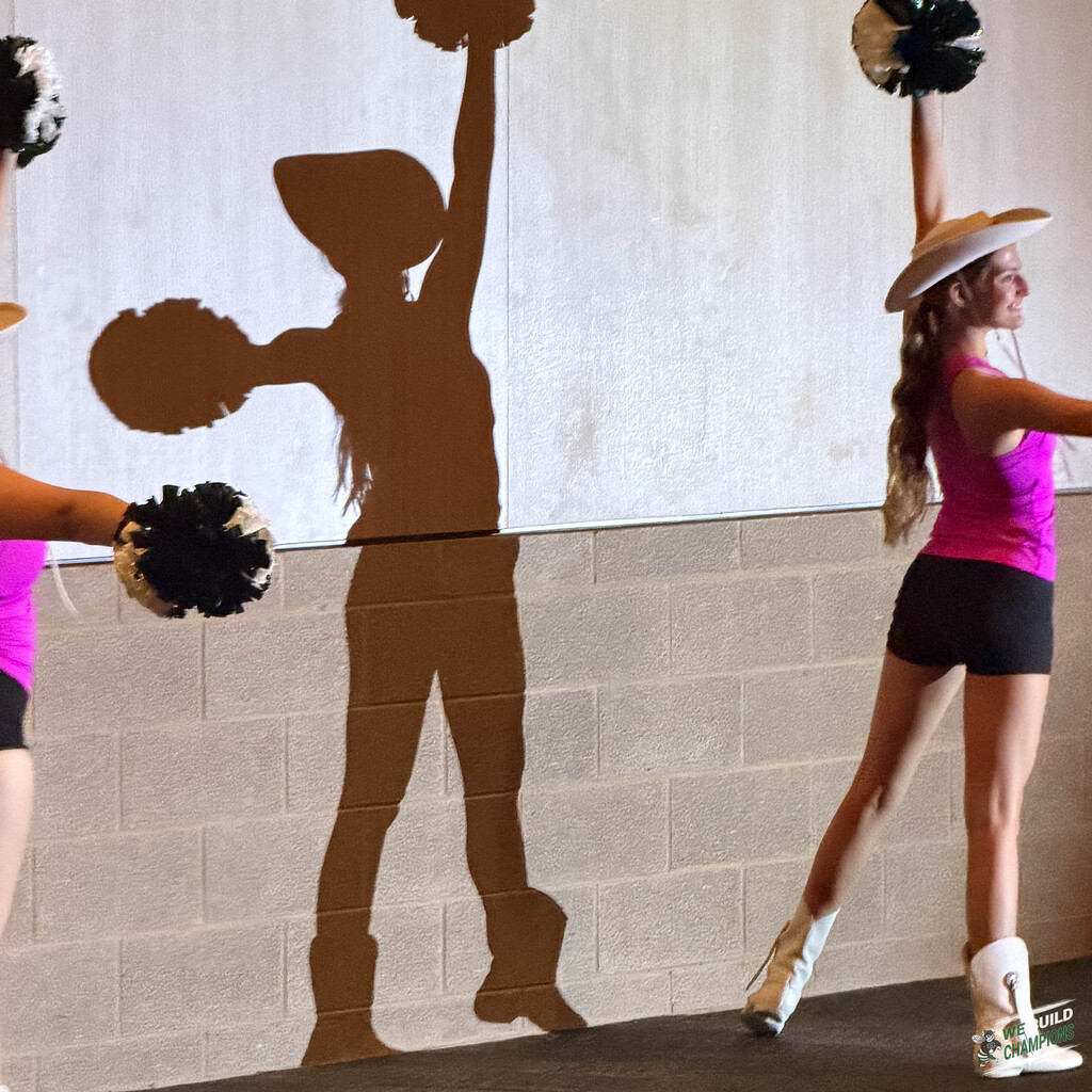 Artistic photo of the shadow cast by a Grenadier Guard on the wall of the PAC