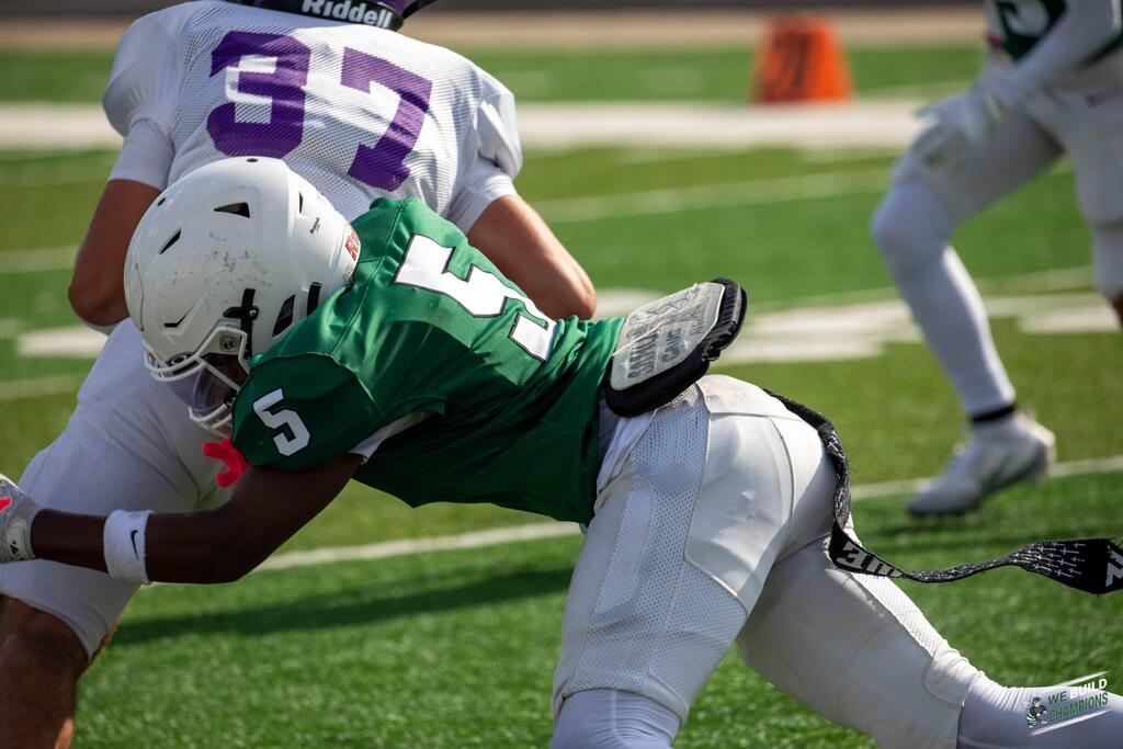 good defensive hit from hornet