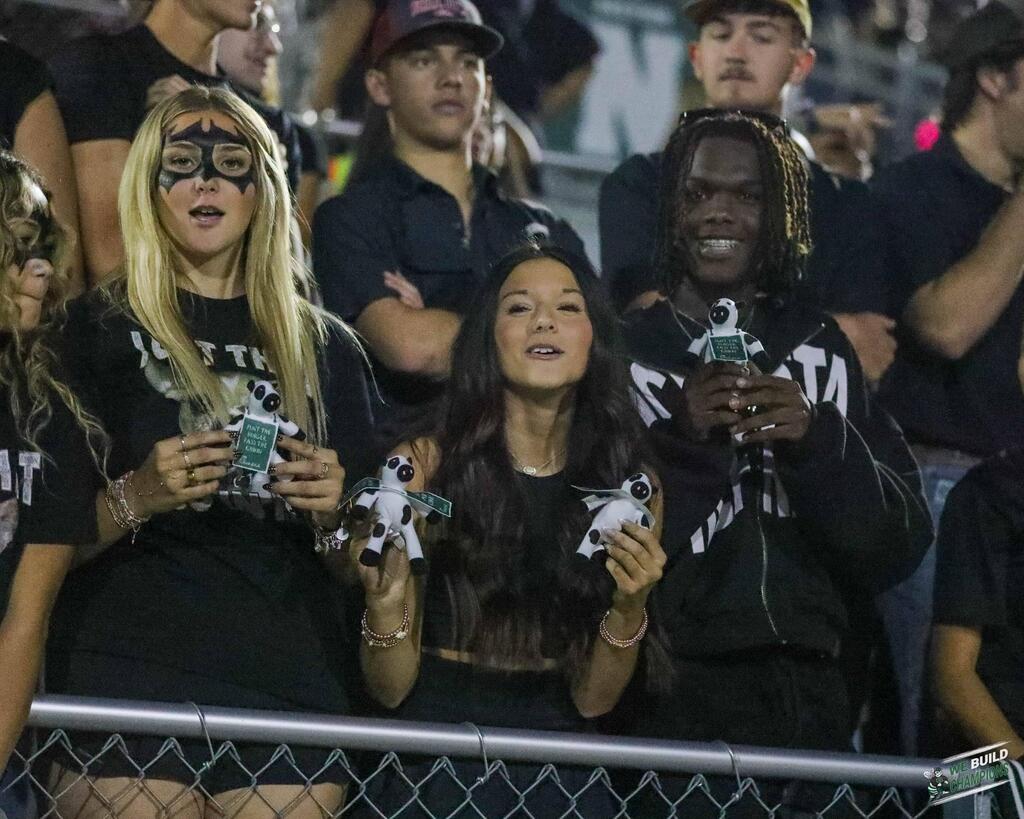 Three high school fans
