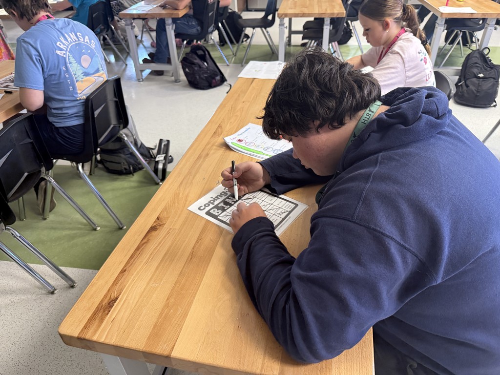 Coping Skills Lesson