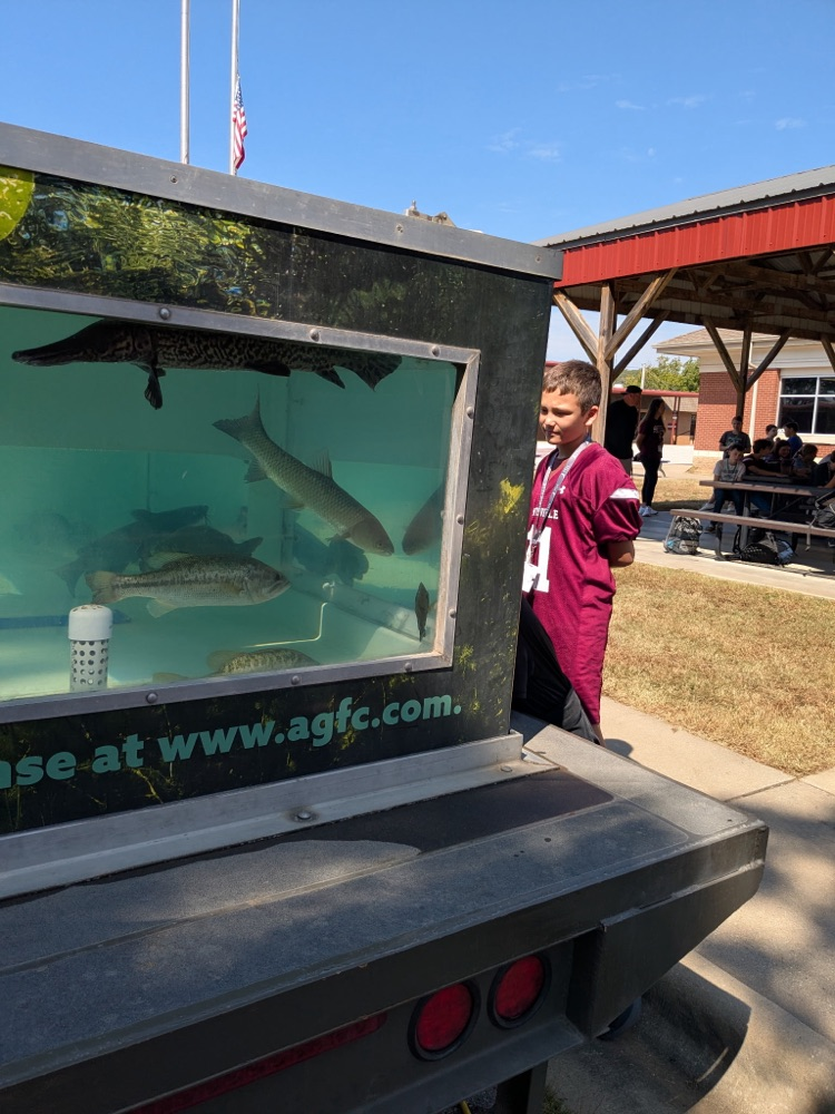 Mobile aquarium 