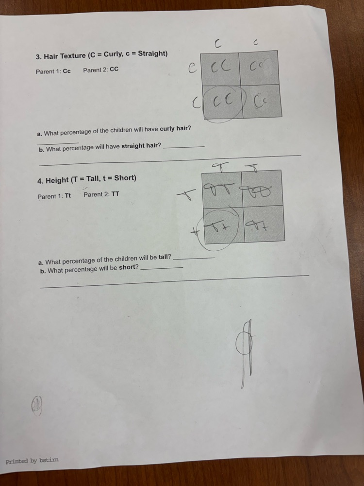 6th Grade Scientists