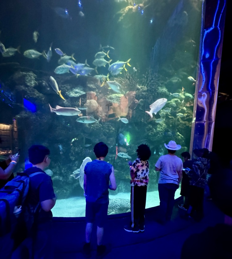 6th Field Trip