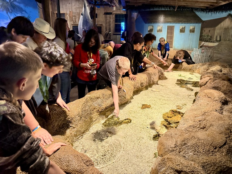 6th Field Trip