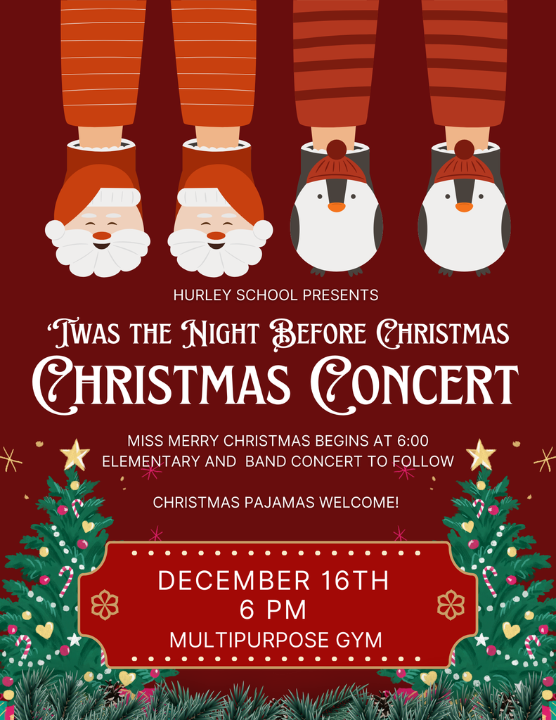 2025 Christmas Concert (2)