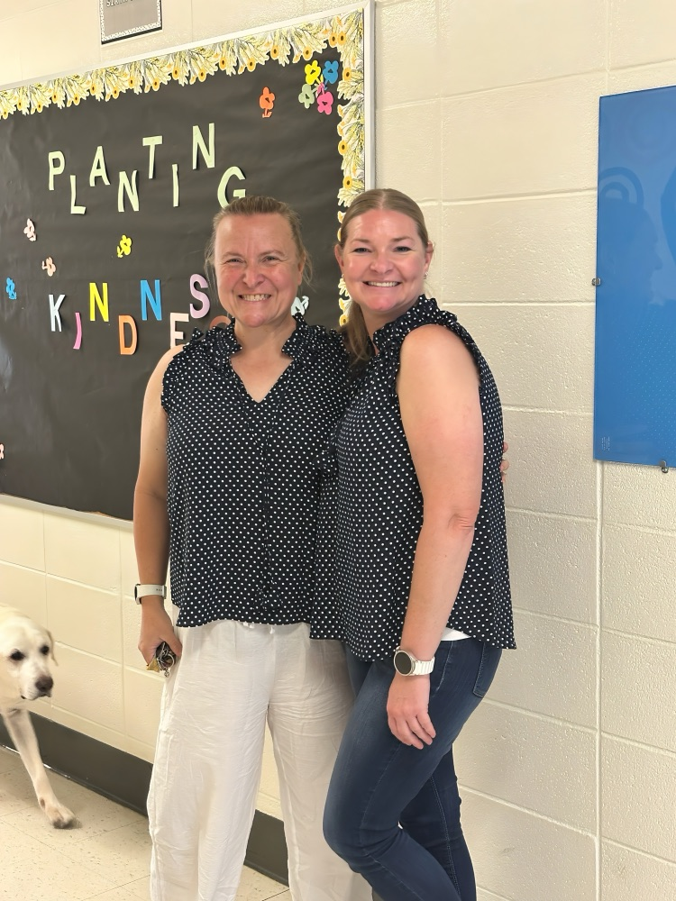 teachers 