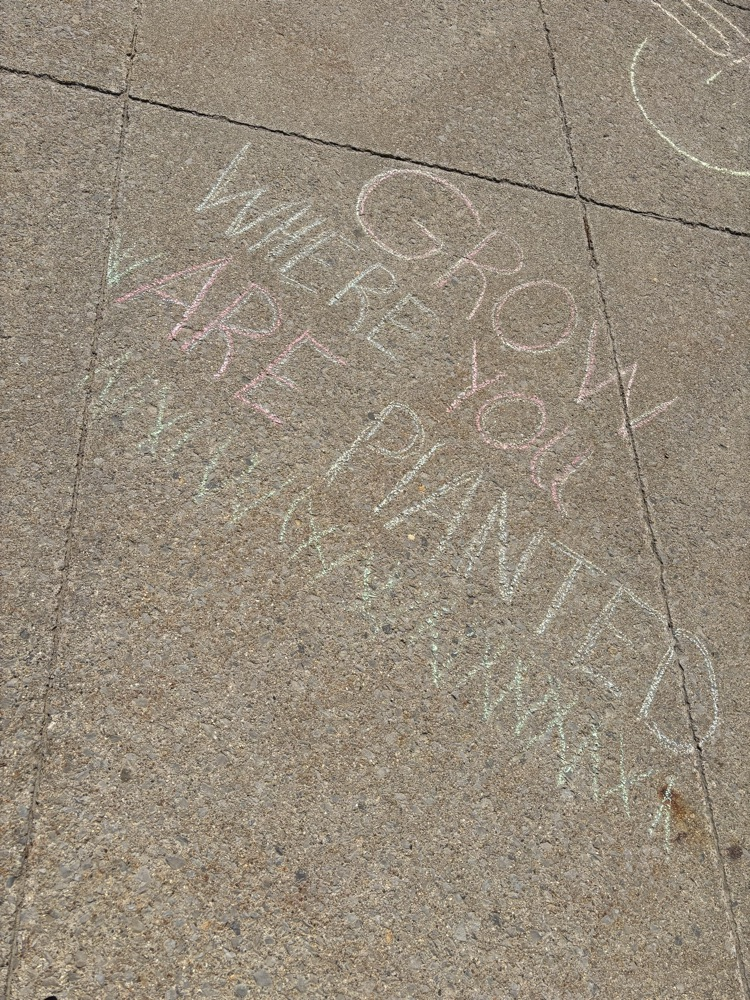  mHM