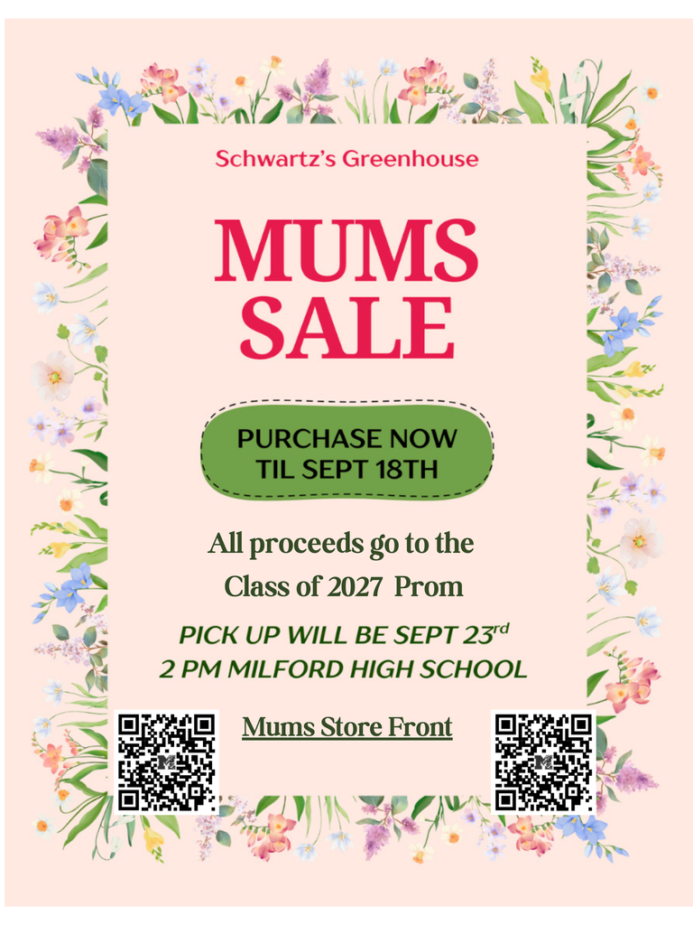 Mums for sale at MHS