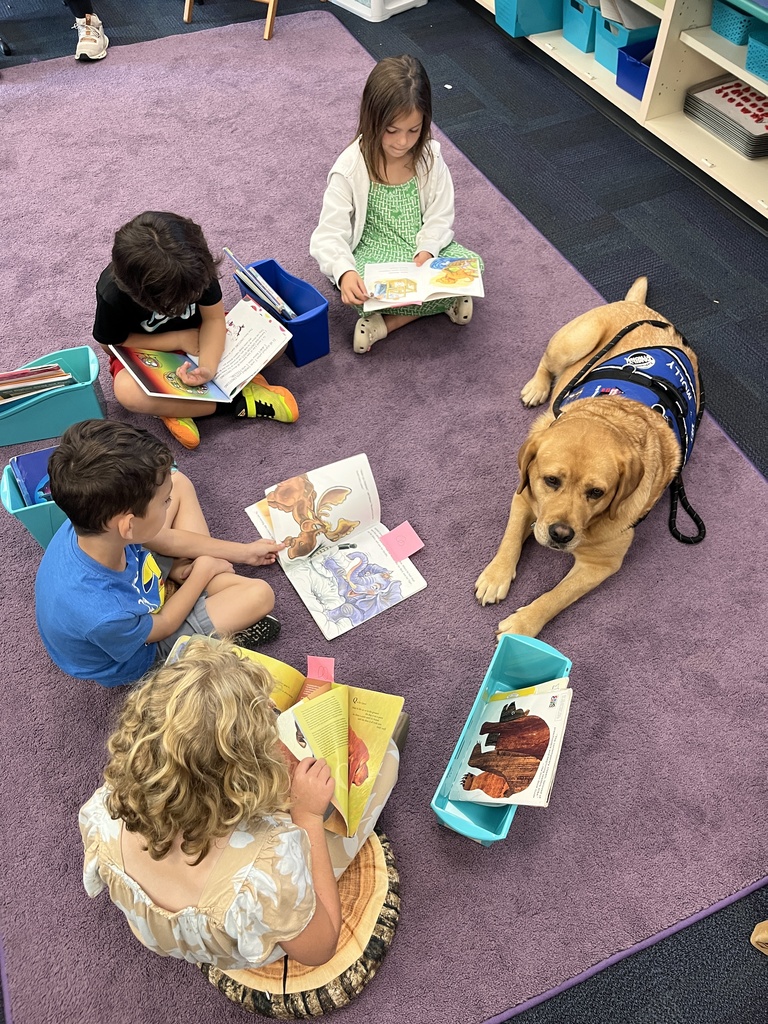 Our first graders loved reading to Molly!