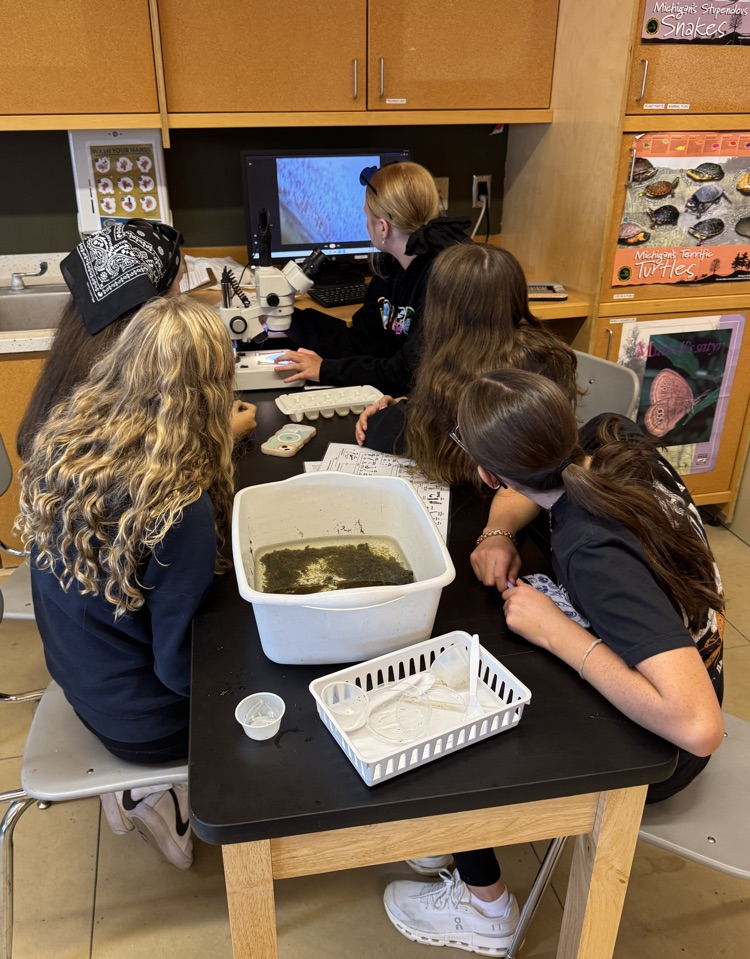 Science experiments on water quality.