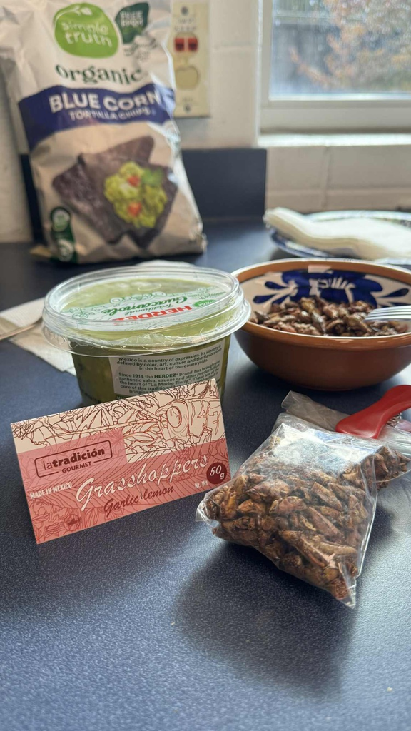 guacamole with grasshoppers 1