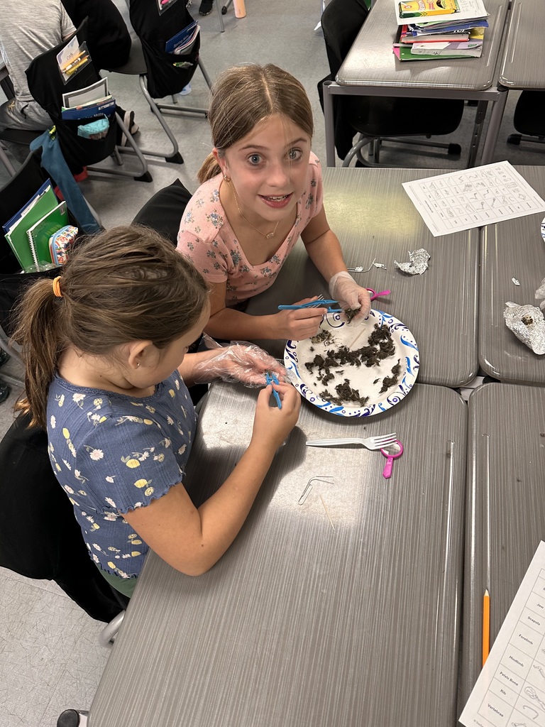 5th graders exploring Owl Pellets