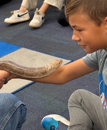 We were able to pet all the animals during our Science Alive assembly.
