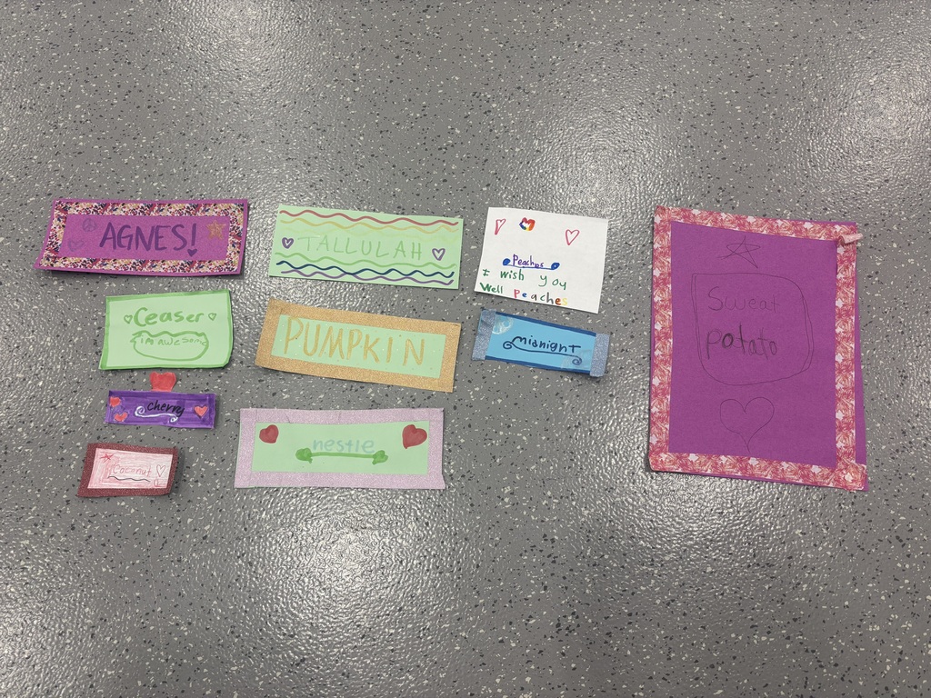 girls on the run community impact project