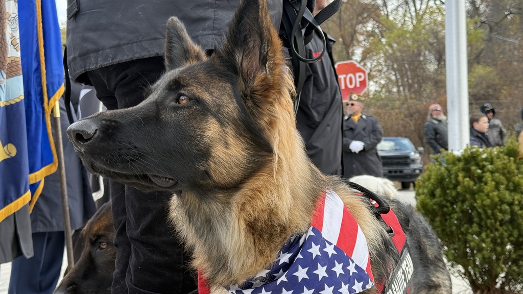 Veterans Day ceremony held at Kurtz Elementary 