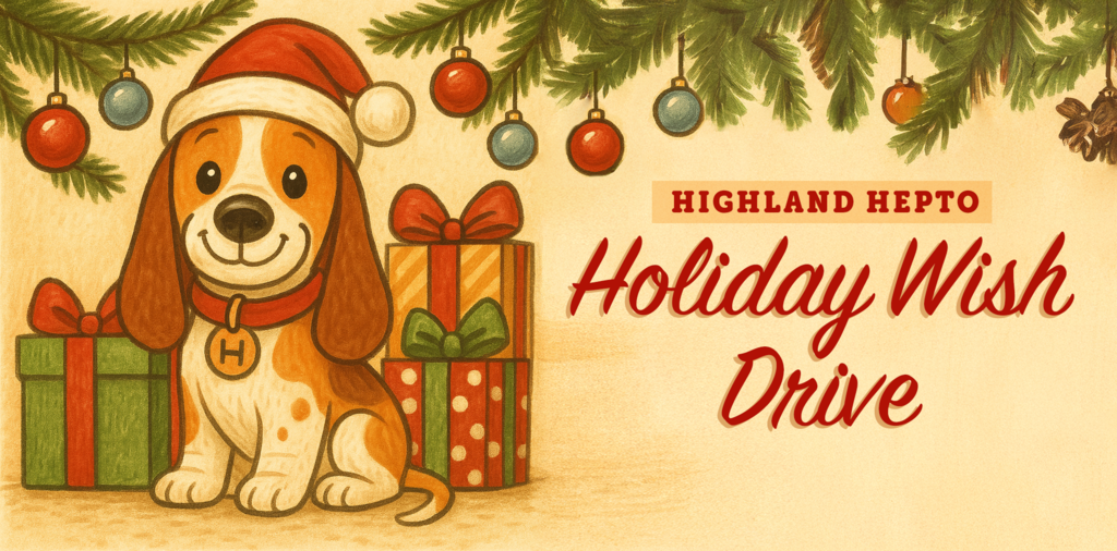 Holiday Wish Drive