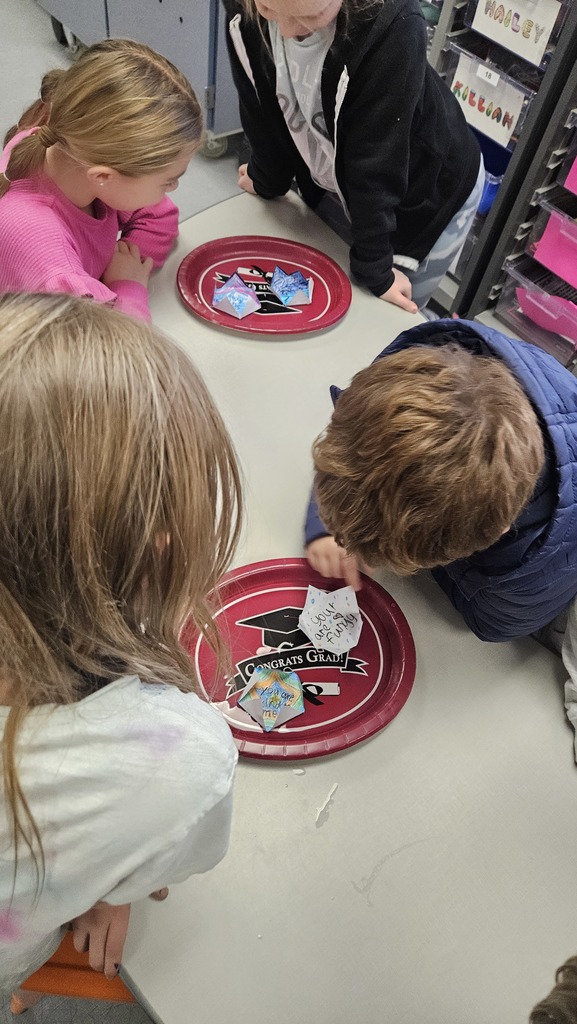 2nd grade students discovering