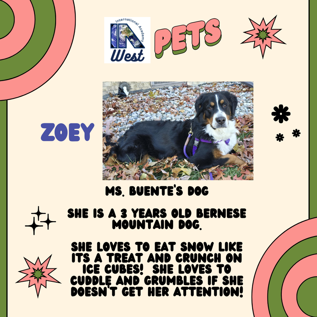 Zoey Buente - IAW Pets