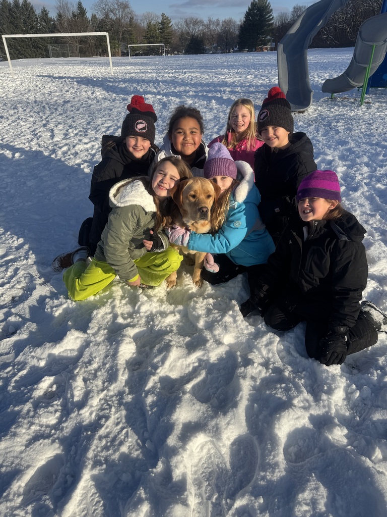 Welcoming Teddy - SEL dog