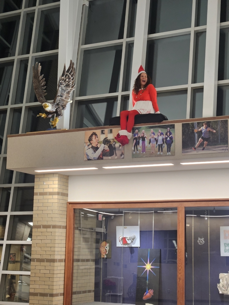 Lakeland teacher real-life Elf on a Shelf