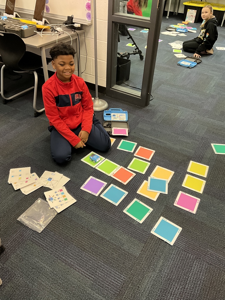 We loved problem solving with robots in technology class.