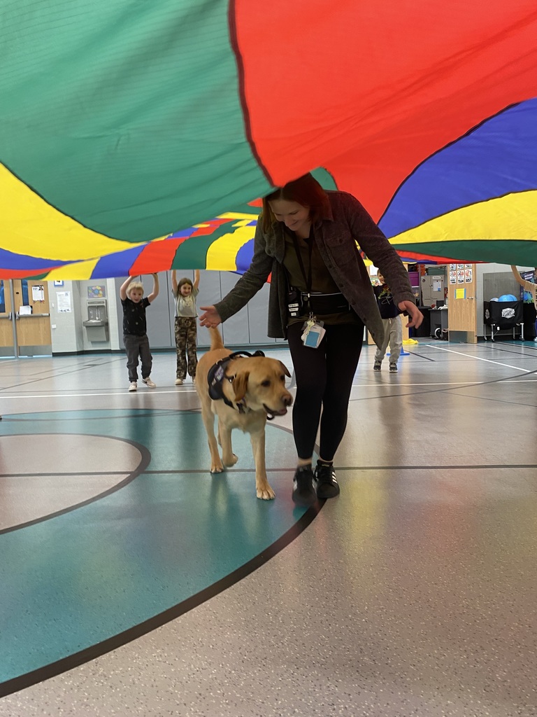 Teddy under the Parachute in P.E.