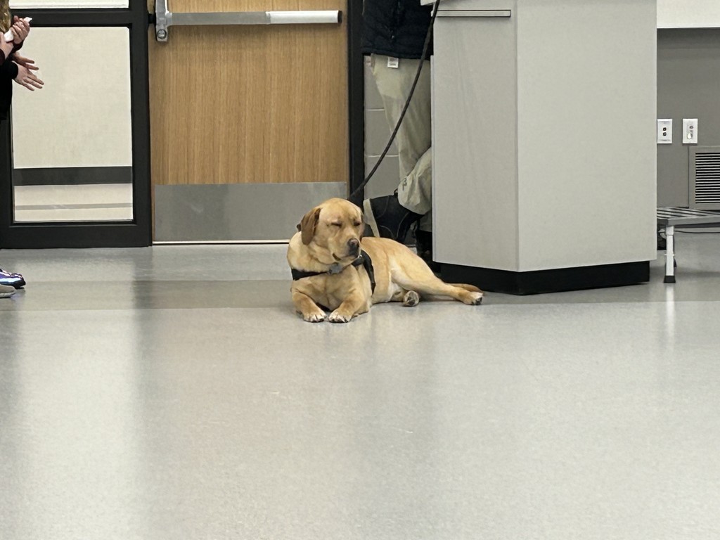 Teddy the social emotional learning dog for Spring Mills Elementary