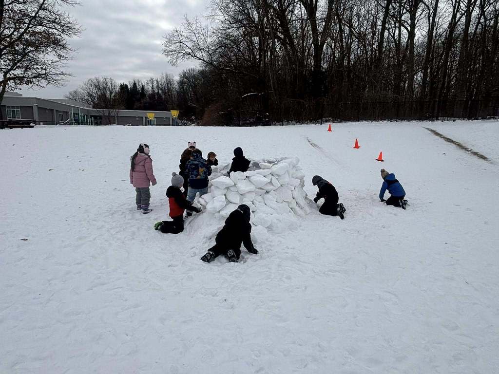 students playing in the snow