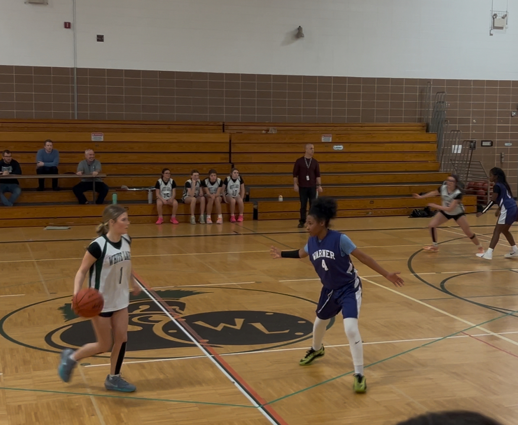 Falcons dribbling the ball