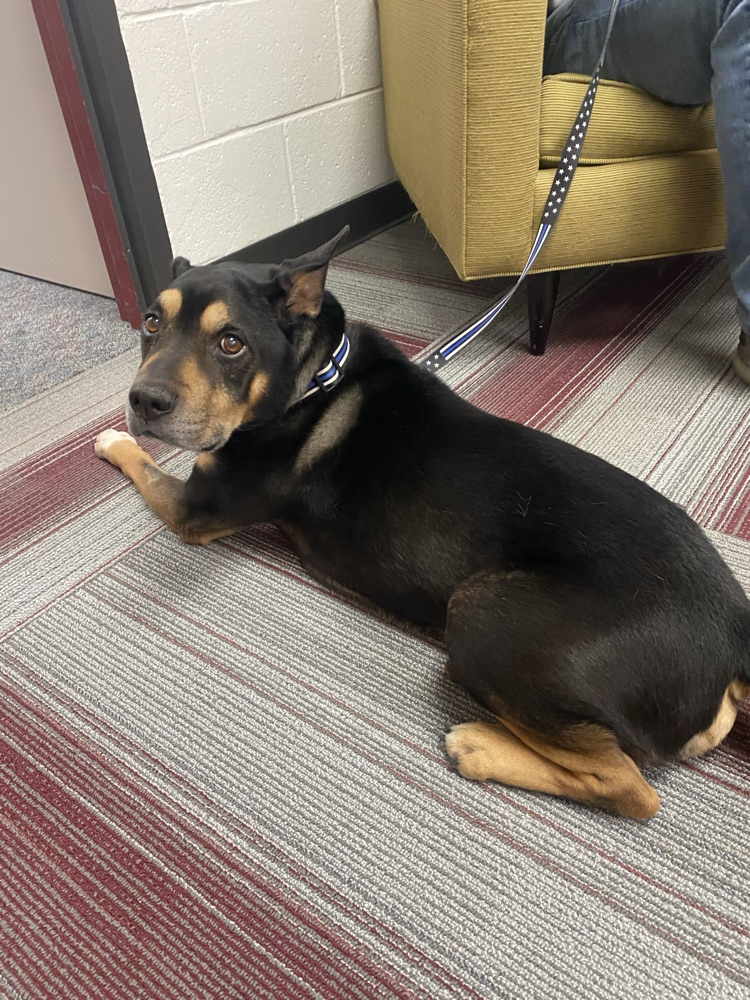 Muir had a special visitor to the office today. It was great to meet Lil' Craig! #wearemuir #community