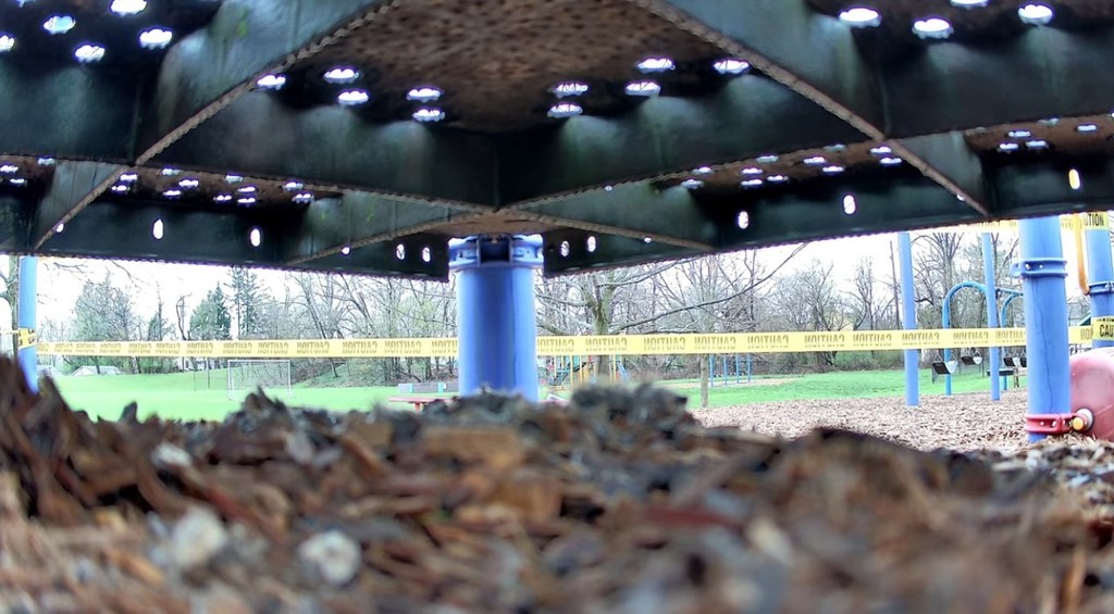 Image underneath playground equipment where a duck's next is.