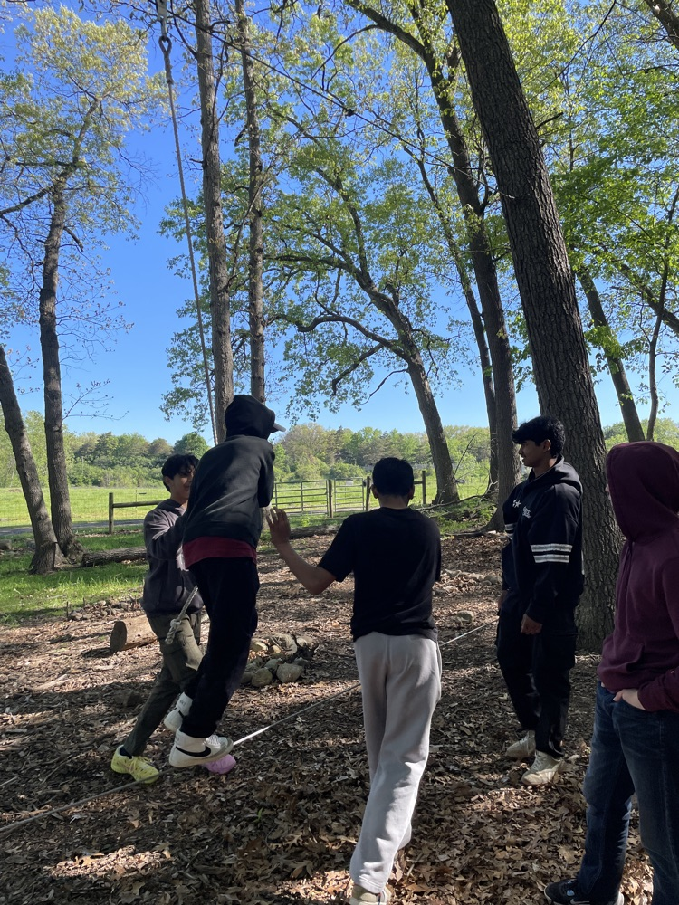 ropes course 7