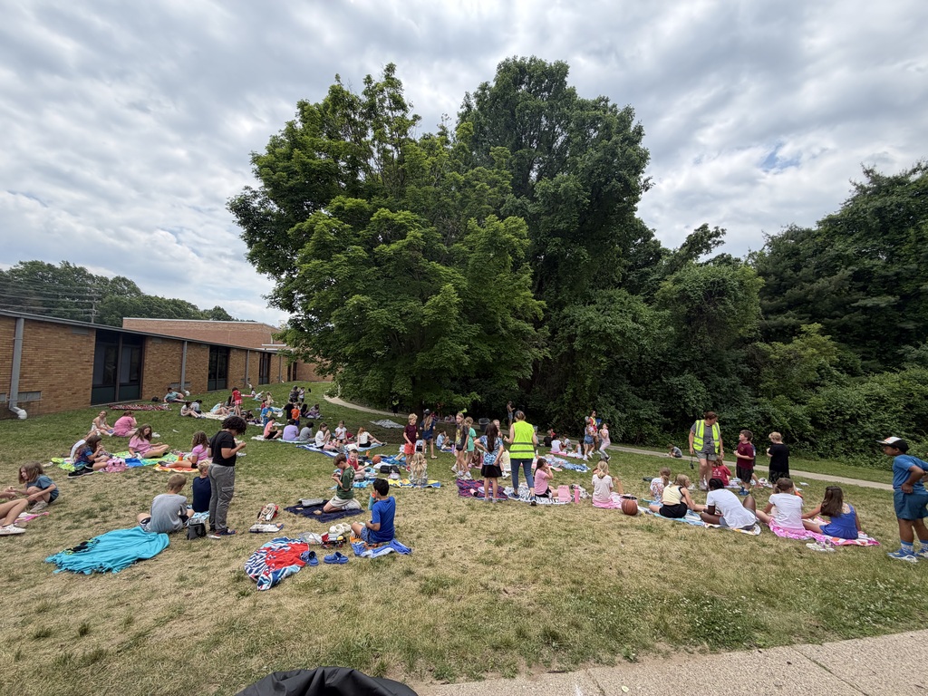 Lunch Picnic 