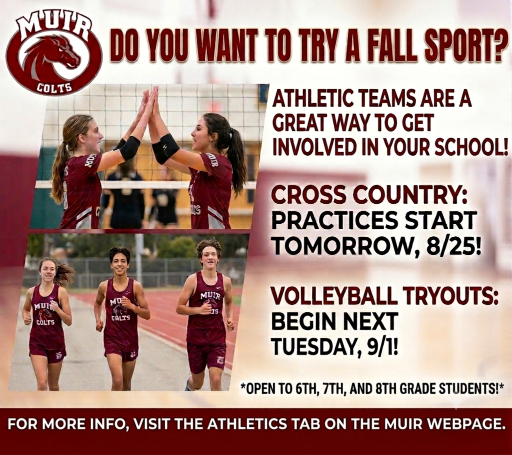School promotional flyer for Muir Colts athletics with a maroon header reading "DO YOU WANT TO TRY A FALL SPORT?" next to the Muir Colts horse logo. Two photo panels display middle school volleyball players high-fiving and cross country runners on a track. The main text reads: "ATHLETIC TEAMS ARE A GREAT WAY TO GET INVOLVED IN YOUR SCHOOL! CROSS COUNTRY: PRACTICES START TOMORROW, 8/25! VOLLEYBALL TRYOUTS: BEGIN NEXT TUESDAY, 9/1! OPEN TO 6TH, 7TH, AND 8TH GRADE STUDENTS!" A maroon banner across the bottom reads: "FOR MORE INFO, VISIT THE ATHLETICS TAB ON THE MUIR WEBPAGE."