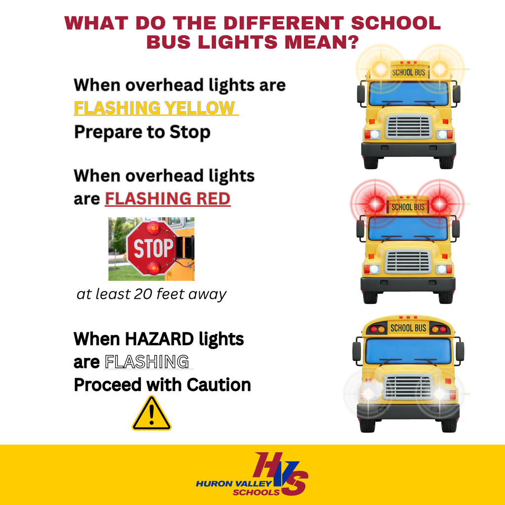 graphic with school busses that reads "What do the different school bus lights mean? When overhead lights are FLASHING YELLOW  Prepare to Stop. When overhead lights are FLASHING RED. "