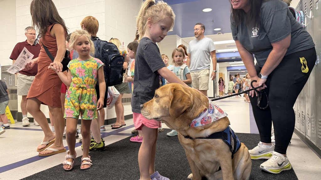 Girl pets service dog in school hallway
