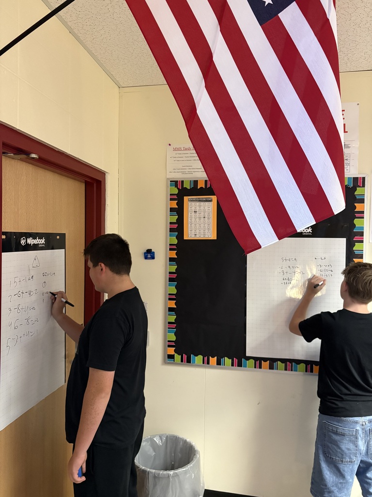 Two students stand side-by-side in a classroom writing math solutions on wall-mounted Wipebook posters, with an American flag hanging from the ceiling overhead.