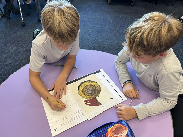 drawing the pictures